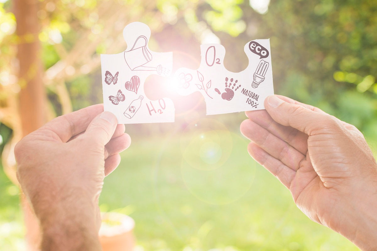 Dementia activities