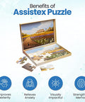 Dementia Puzzle 16 Large Pieces Jigsaw -- Country Home